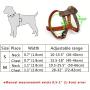 Beirui Leather Dog Harness for Small Medium and Large Dogs