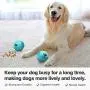 NYI Ball Dog Toy - Dog Ball - Jolly Ball for Dogs - Set of 2 Dog Toys Balls - Medium 3.2'' Interactive Rubber Ball Food Dispensing Dog Toy IQ Training Teeth Cleaning Playing NYI Ball Dog Toy - Dog Ball - Jolly Ball for Dogs - Set of 2 Dog Toys Balls - Medium 3.2'' Interactive Rubber Ball Food Dispensing Dog Toy IQ Training Teeth Cleaning Playing