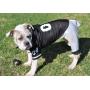Dog Gone Cute by Lous Doggie Boutique 4 Piece Football Costume (Jersey, Pants, Helmet and Toy Ball)- Large