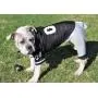 Dog Gone Cute by Lous Doggie Boutique 4 Piece Football Costume (Jersey, Pants, Helmet and Toy Ball)-Extra Small (XS)