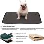 Lokyee Washable Dog Training Pads Reusable Puppy Pee Pad Fast Absorb Mat with Waterproof Non-Slip Bottom for Dogs Indoor Outdoor Car Travel(Grey M)