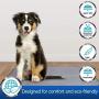 Pet Magasin Small Original Belly Wrap & Pet Magasin Large Training Pad Bundle