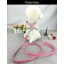 Newtensina Fashion Puppy Harness with Diamantes and Lead Cute Girl Bling Dog Harness with Bling Leash for Small Dogs