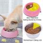 ljfjf Gobble-Stop Slow Feeder Dog Bowl Slow Eating Anti-Gulp BPA Free Melamine Bowl Fun Interactive Pet Bowl for Dogs Cats Puppies, Small, Black