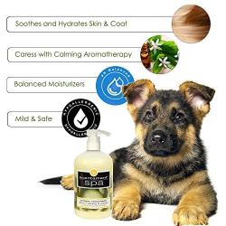 Best Shot Pet Scentament Spa Lemon Vanilla Oatmeal Conditioner