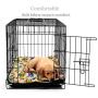 Nursery Dog Mat Children Kid Apes Monkeys Playing in Exotic Forest with Big Trees and Daisy Blooms Pet Mats for Food and Water Multicolor