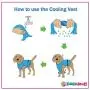 DOGZSTUFF Dog Cooling Vest. Lightweight Jacket with Evaporative Cool Microfiber Technology, UV Protection Shirt, Sizing for Small, Medium and Large Dogs DOGZSTUFF Dog Cooling Vest. Lightweight Jacket with Evaporative Cool Microfiber Technology, UV Protection Shirt, Sizing for Small, Medium and Large Dogs