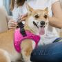 Comfort Fit, Soft Padded and Lightweight Dog Harness, Step in Dog Vest Harness for Small & Medium Dogs, Pink, S, Chest 14-16''