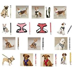 Zack & Zoey Soft Anti Pull Chest Plate Harness & Lead Combos for Dogs Matching Dog Sets !