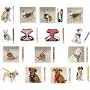 Zack & Zoey Soft Anti Pull Chest Plate Harness & Lead Combos for Dogs Matching Dog Sets ! Zack & Zoey Soft Anti Pull Chest Plate Harness & Lead Combos for Dogs Matching Dog Sets !