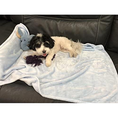 Higher Comfort Super Soft Premium Pet Blankets for Small Dogs, Puppies, Cats & Kittens - 30'' x 40'' - Great for Pet Beds and Carriers