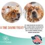 PET CARE Sciences Dog Shampoo, Naturally Derived Dog and Puppy Shampoo and Conditioner, 5 in 1 Formula with Coconut, Aloe and Oatmeal, Tear Free Dog Shampoo for Sensitive Skin, Made in The USA,16 floz