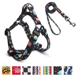 QQPETS Dog Harness Leash Set,Adjustable Vest Durable Heavy Duty Puppy Small Medium Large Dogs Perfect for Walking Running Training Starry Sky