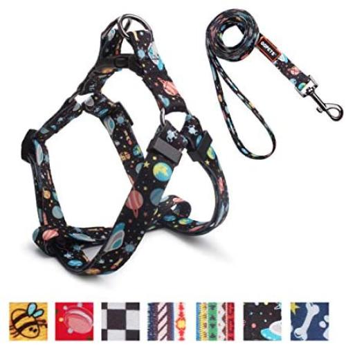 QQPETS Dog Harness Leash Set,Adjustable Vest Durable Heavy Duty Puppy Small Medium Large Dogs Perfect for Walking Running Training Starry Sky