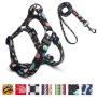 QQPETS Dog Harness Leash Set,Adjustable Vest Durable Heavy Duty Puppy Small Medium Large Dogs Perfect for Walking Running Training Starry Sky