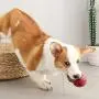 HYJA-Z Toy Balls for Dogs Pet Supplies Rotatable Switch Leaking Device Relieve Artifact Pet Killing time Toy,11cm,Blue HYJA-Z Toy Balls for Dogs Pet Supplies Rotatable Switch Leaking Device Relieve Artifact Pet Killing time Toy,11cm,Blue