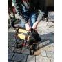 Singing Rock Laika Dog Harness
