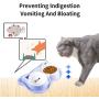 Bbrand Dressyougo Ceramics Double Dog Cat Bowl, Raised Lips No Spill Food and Water Feeder, Reduce Neck Stress, Dishwasher Safe