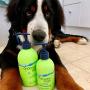 Underwater Dogs - Moisturizing Puppy Shampoo & Conditioner for Dry Skin - 8.4 fl. oz. Vanilla-Coconut