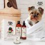 Aromatherapy Pet Spa in a Box Dog Shampoo, Dog Grooming Spray, Candle Scented Animal Lover Gift Set & Pet Odor Eliminator