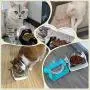 Gbziyjk Cat Bowl Raised Stand Tilted Angled,Pet Dish Transparent Plastic Feeding Bowls Good Non Slip Proof Adjustable Detachable Heavy Duty Durable