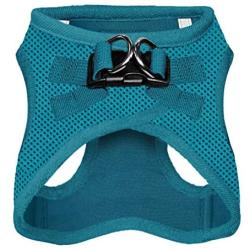 Best Pet Supplies Voyager Step-in Air Dog Harness - All Weather Mesh, Step in Vest Harness for Small and Medium Dogs, Turquoise (Matching Trim), XS (Chest: 13-14.5'') (207-TQW-XS)
