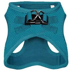 Best Pet Supplies Voyager Step-in Air Dog Harness - All Weather Mesh, Step in Vest Harness for Small and Medium Dogs, Turquoise (Matching Trim), M (Chest: 16-18'') (207-TQW-M)