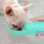 MoMaek Dog Water Bottle, Leak Proof Portable Puppy Water Dispenser with Drinking Feeder for Pets Outdoor Walking, Hiking, Travel, Retractable Drinking Bottle with Food Grade Silicone, BPA Free MoMaek Dog Water Bottle, Leak Proof Portable Puppy Water Dispenser with Drinking Feeder for Pets Outdoor Walking, Hiking, Travel, Retractable Drinking Bottle with Food Grade Silicone, BPA Free