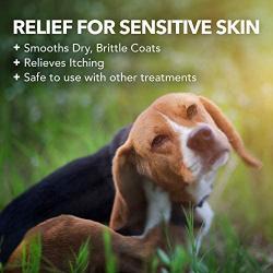 Vets Best Hypo-Allergenic Shampoo for Dogs | Dog Shampoo for Sensitive Skin | Relieves Discomfort from Dry, Itchy Skin | Cleans, Moisturizes, and Conditions Skin and Coat | 16 Ounces