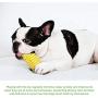 Dog Chew Toys,Tough Dog Toys for Medium Large Dogs bite-Resistant Toothbrush Dog Toy,Dog Toothbrush Chew Toys Dog Chew Corn Teeth Cleaning Bite Resistant for Dogs Dental Care