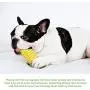 Dog Chew Toys,Tough Dog Toys for Medium Large Dogs bite-Resistant Toothbrush Dog Toy,Dog Toothbrush Chew Toys Dog Chew Corn Teeth Cleaning Bite Resistant for Dogs Dental Care Dog Chew Toys,Tough Dog Toys for Medium Large Dogs bite-Resistant Toothbrush Dog Toy,Dog Toothbrush Chew Toys Dog Chew Corn Teeth Cleaning Bite Resistant for Dogs Dental Care