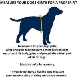 Premium Service Dog Mesh Harness Vest - Includes 5 Federal Law Cards