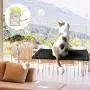 VWMYQ Cat Hammock Cat Window Perch Cat Window Seat Bed Removable Pet Resting Seat Safety Cat Bed Suction Cups withWall Corner and Three Little mice VWMYQ Cat Hammock Cat Window Perch Cat Window Seat Bed Removable Pet Resting Seat Safety Cat Bed Suction Cups withWall Corner and Three Little mice
