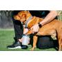 Dexas MudBuster Portable Dog Paw Washer/ Paw Cleaner