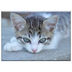 Triple Blank Wall Plate Cover - Cat Kitten Cat Eyes Pet Animal Cats Cute Kittens