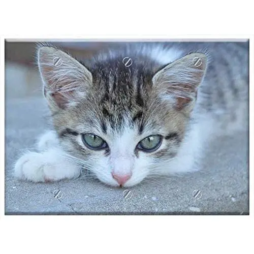 Triple Blank Wall Plate Cover - Cat Kitten Cat Eyes Pet Animal Cats Cute Kittens Triple Blank Wall Plate Cover - Cat Kitten Cat Eyes Pet Animal Cats Cute Kittens