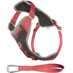 Kurgo Journey Multi-Use Dog Harness, Reflective Harness, Dog Running Harness, Dog Walking Harness, Dog Hiking Harness, Coral/Grey, Small