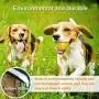 3 Pcs Dog Chew Toys Puppy Teething Chew Ball Toys , IQ Puzzle Interactive Food Dispensing Dog Toys, Natural Rubber Tooth Cleaning Toys Pet Supplies for Small Medium Dogs