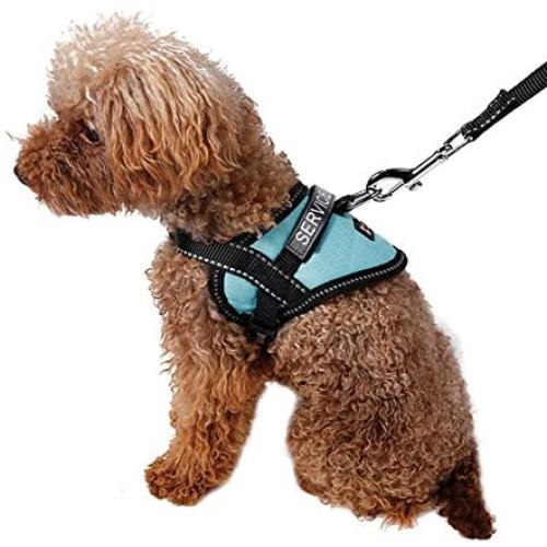 Uheng Service Vest Dog Harness - Adjustable Nylon Vest with Reflective Patches for Little Teddy, Pago, Bichon, Mini Doberman in Training (7-9lbs)