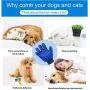 Tudoremade Suction Cup Dog Toy with Glove-Double Suction Dog Toy with Pet Grooming Glove Durable Dog Ball Dog Rope Toy Dog Teeth Cleaning Dog Chew Toy Tug of War Multifunction Pet Molar Bite Toy; Tudoremade Suction Cup Dog Toy with Glove-Double Suction Dog Toy with Pet Grooming Glove Durable Dog Ball Dog Rope Toy Dog Teeth Cleaning Dog Chew Toy Tug of War Multifunction Pet Molar Bite Toy;