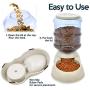 Zone Tech Self-Dispensing Pet Feeder - Premium Quality Durable Self-Dispensing Gravity 1 Gallon Pet Feeder