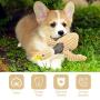 Stuffless Dog Toys,Squeaky Toy for Chewers,Duck Shaped Bite Resistant Training Pet Toy,Chewing Teeth Health Toys for Large and Small Dogs (Duck-Without Hemp Rope Type)