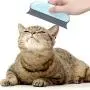 2 Pieces Cat Massage Comb Cat Shell Comb Pet Hair Cleaning Remover Brush Cat Grooming Comb Hair Removal Brush for Cleaning Cars Furniture Carpet Sofa Clothes 2 Pieces Cat Massage Comb Cat Shell Comb Pet Hair Cleaning Remover Brush Cat Grooming Comb Hair Removal Brush for Cleaning Cars Furniture Carpet Sofa Clothes