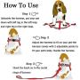 Ebrand Dog Harness, Dog Leash and Dog Collar, Adjustable Step in Small Dog Harness and Puppy Collars, No Pull Dog Leashes, Set for Small Medium Dogs