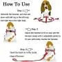 Ebrand Dog Harness, Dog Leash and Dog Collar, Adjustable Step in Small Dog Harness and Puppy Collars, No Pull Dog Leashes, Set for Small Medium Dogs