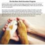 Northern Bark, Buy 1 and We Donate Additional 1 to Pet Shelter, Treat Dispensing Ball, Natural Rubber, Aggressive Chewers