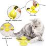 Anthony Bishop Windmill-Cat-Toy,Pet Interactive Training Teasing Toys