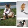 Aumuca Cat Brush and Dog Brush, Cat Brush for Shedding and Grooming with Long or Short Hair Self Cleaning Slicker Brush