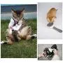 Aumuca Cat Brush and Dog Brush, Cat Brush for Shedding and Grooming with Long or Short Hair Self Cleaning Slicker Brush Aumuca Cat Brush and Dog Brush, Cat Brush for Shedding and Grooming with Long or Short Hair Self Cleaning Slicker Brush