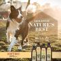 Burts Bees for Dogs Care Plus Natural Hydrating Conditioner